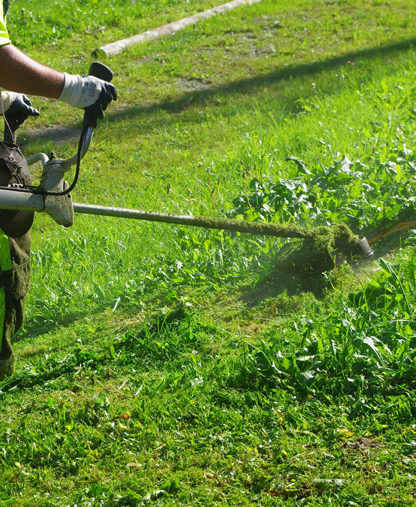 Mantenimiento de zonas verdes.
